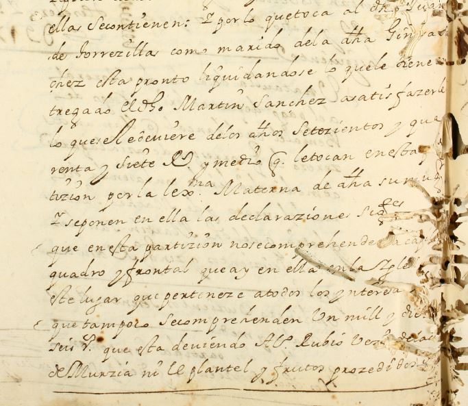 particion bienes ana requena 1697