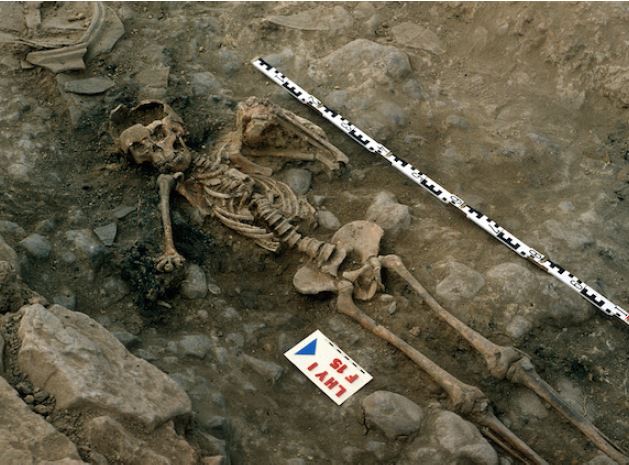 restos adulto la haya