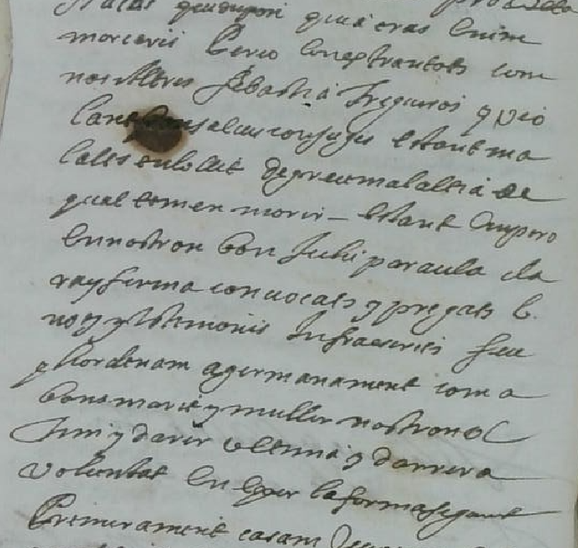 testamento trigueros2