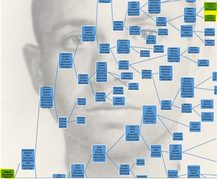 miguel hernandez ancestros comunes